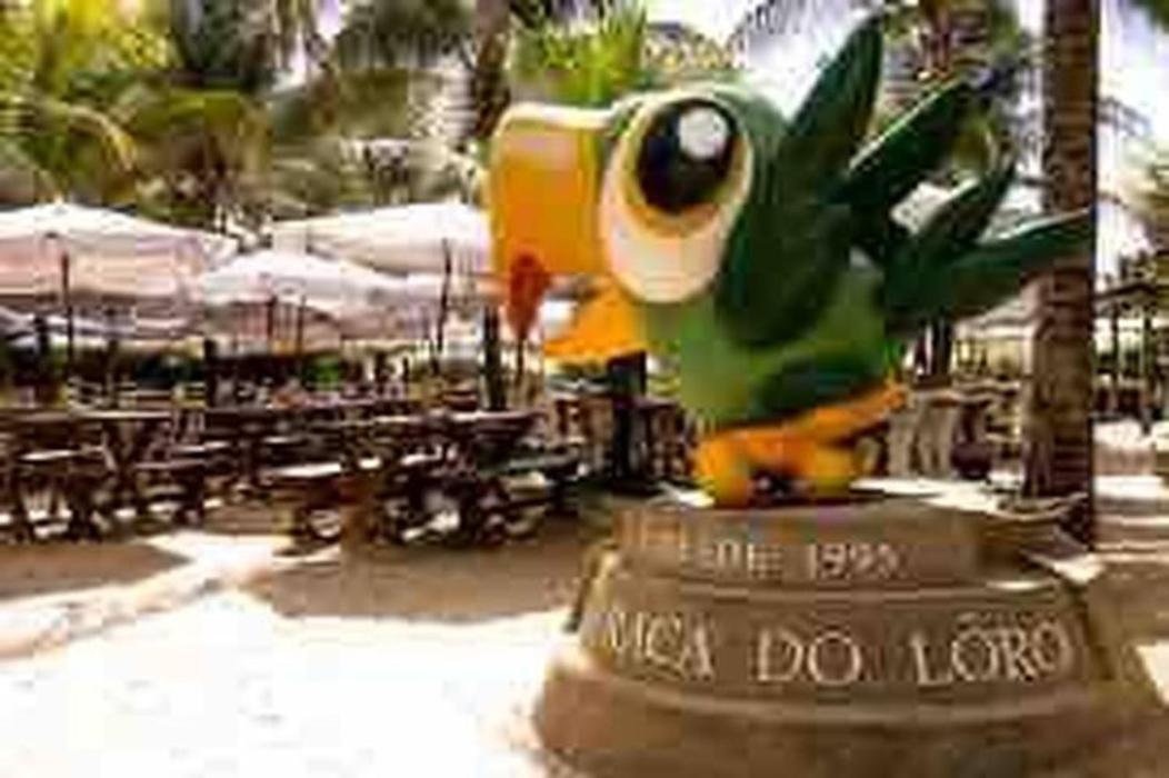 Pé na Areia Vista Total Mar - O Paraíso é aqui! Salvador de Bahía Exterior foto